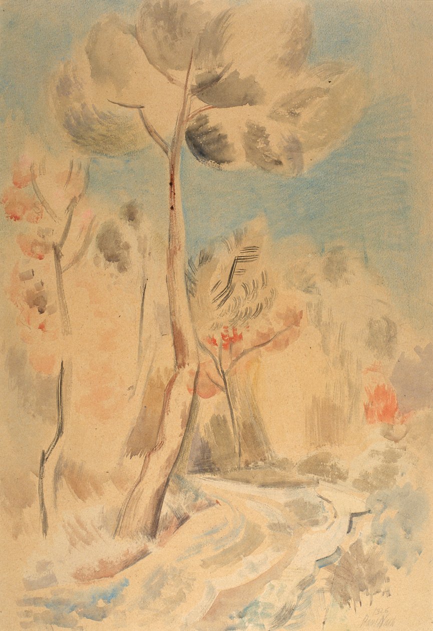 A fenyő alkotó: Paul Nash