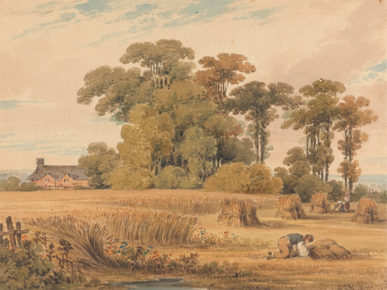 Egy kukoricatábla alkotó: Paul Sandby Munn