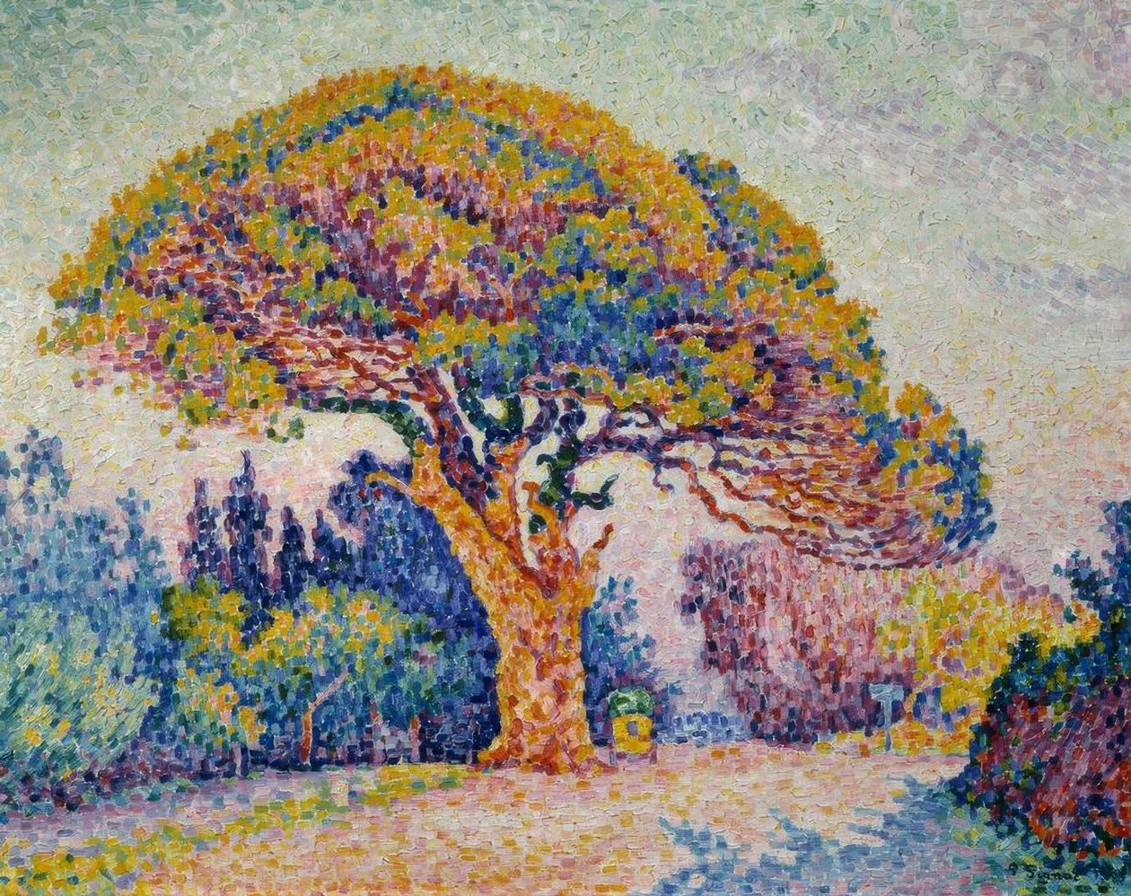 Signac, Fenyő Bertaud-tól alkotó: Paul Signac