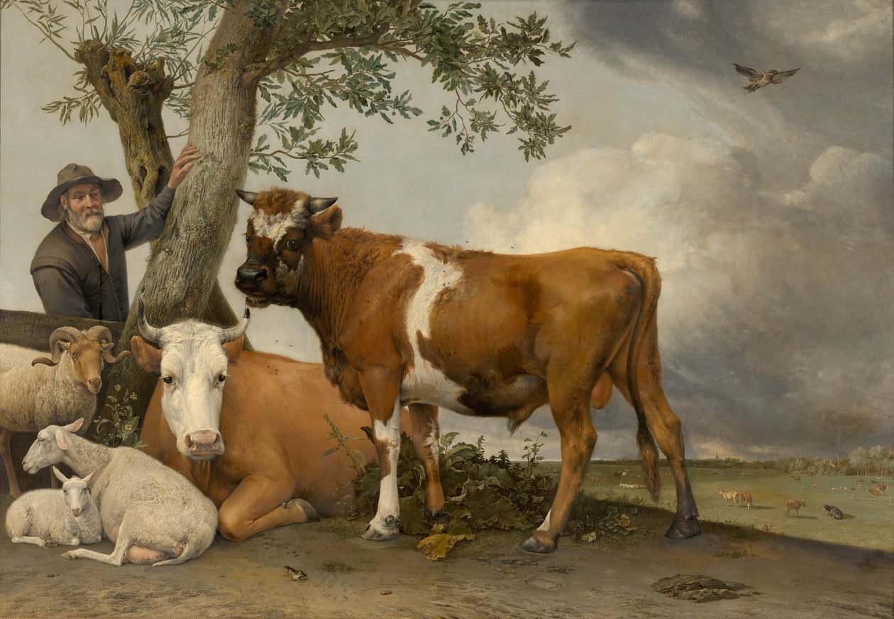 A bika, 1647 alkotó: Paulus Potter
