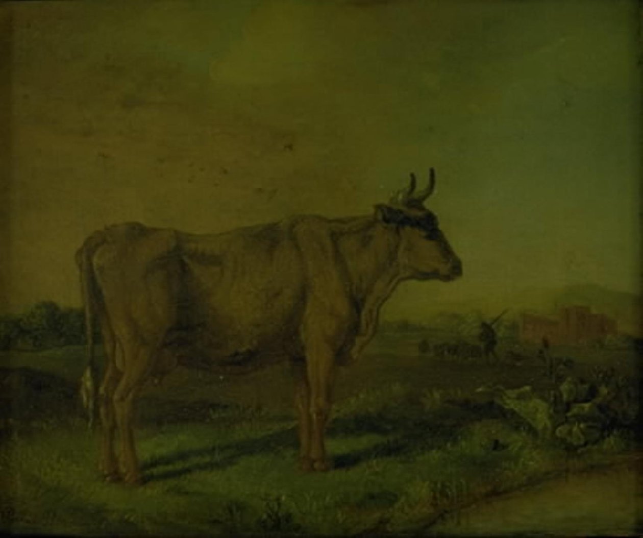 Egy tehén alkotó: Paulus Potter