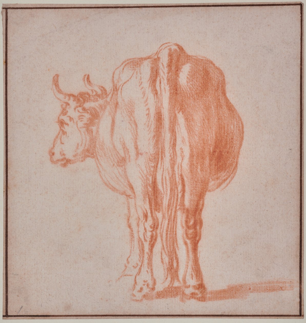 Tehén (állatkísérlet) alkotó: Paulus Potter