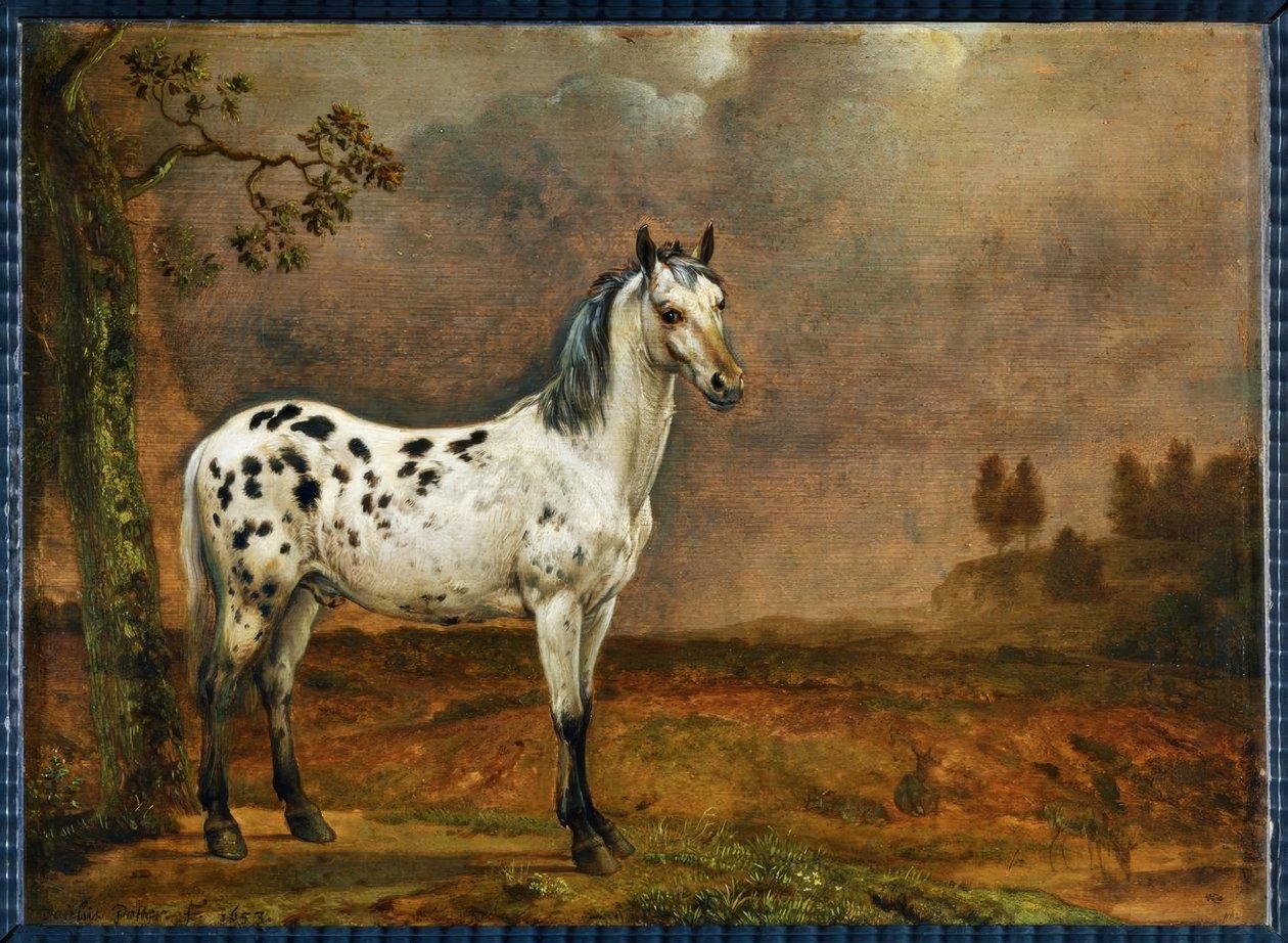 A kopasz ló alkotó: Paulus Potter