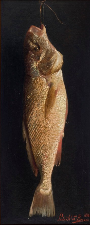 FishnPortugues: Hal alkotó: Pedro Alexandrino Borges