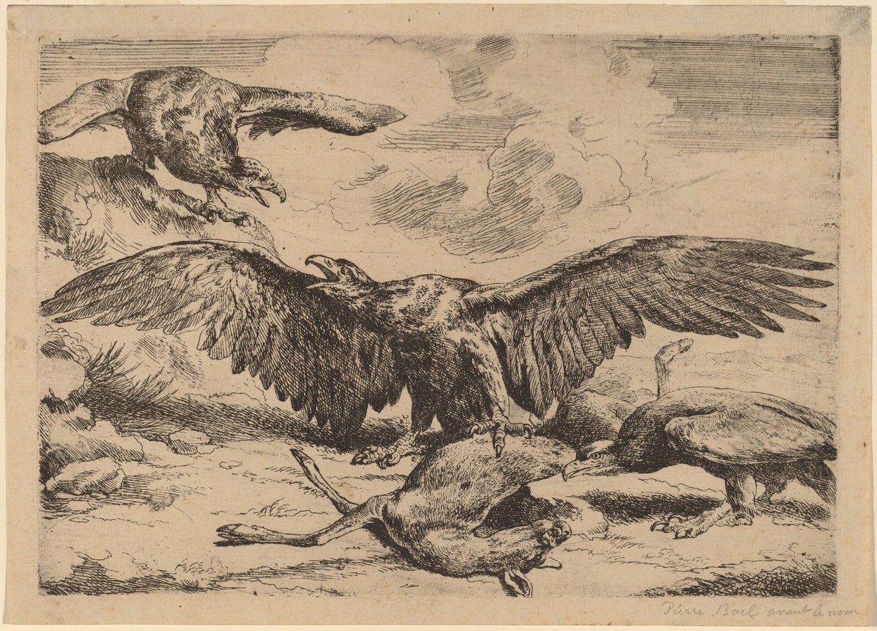Eagles alkotó: Peeter Boel