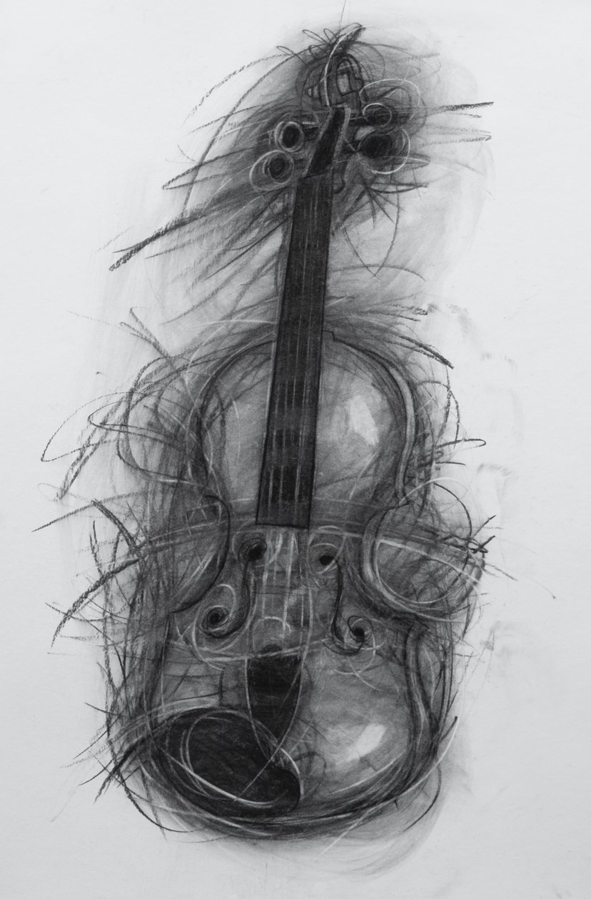 Hegedű, 2005 (szén papíron) alkotó: Penny Warden