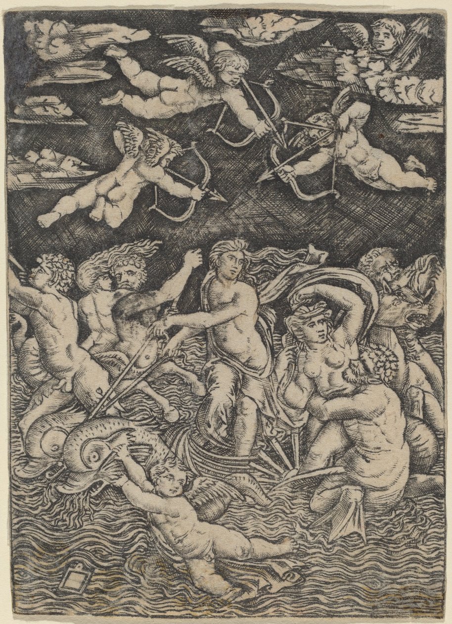 Galatea diadala alkotó: Peregrino da Cesena