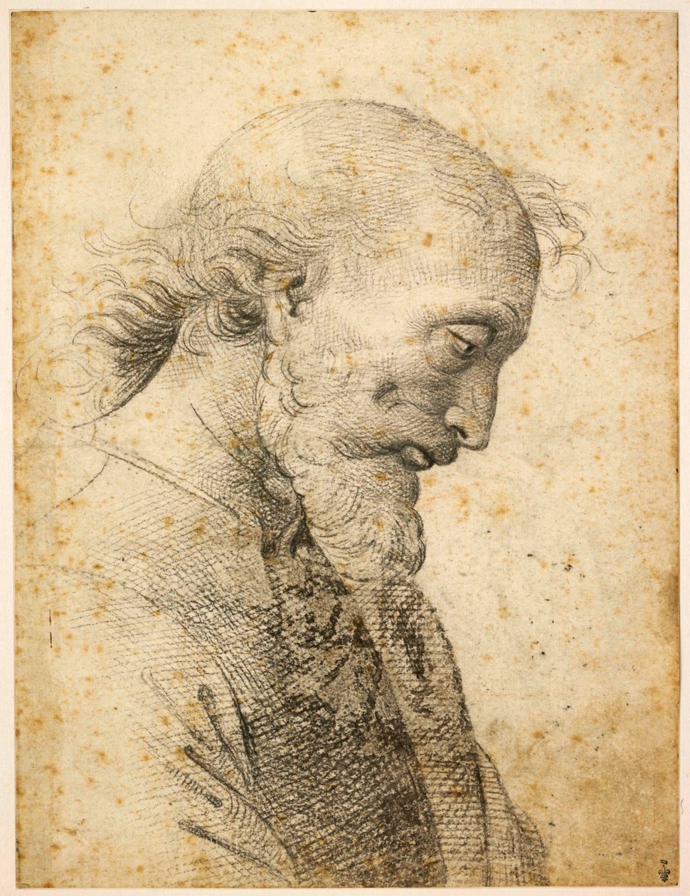 Férfi mellszobra, 1500-1503. alkotó: Perugino