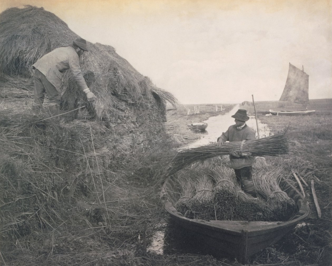 Ricking the Reed, Élet és táj a Norfolk Broadson, 1886 körül alkotó: Peter Emerson und Thomas Goodall