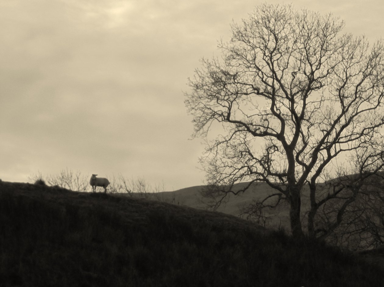 KINTYRE... PLUSZ.9 alkotó: Peter McClure