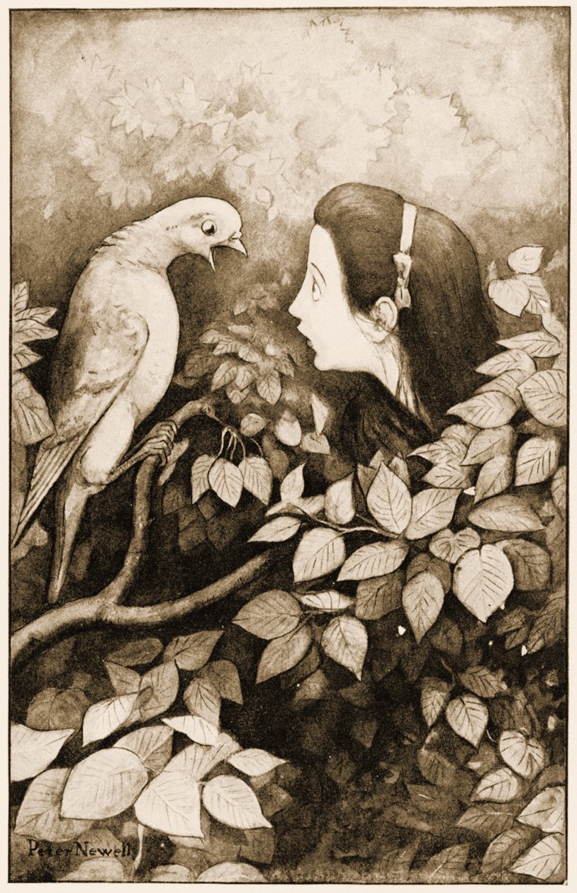 "Kígyó!" sikoltotta a galamb", illusztráció Lewis Carroll Alice Csodaországban kalandjaihoz, 1901 alkotó: Peter Newell