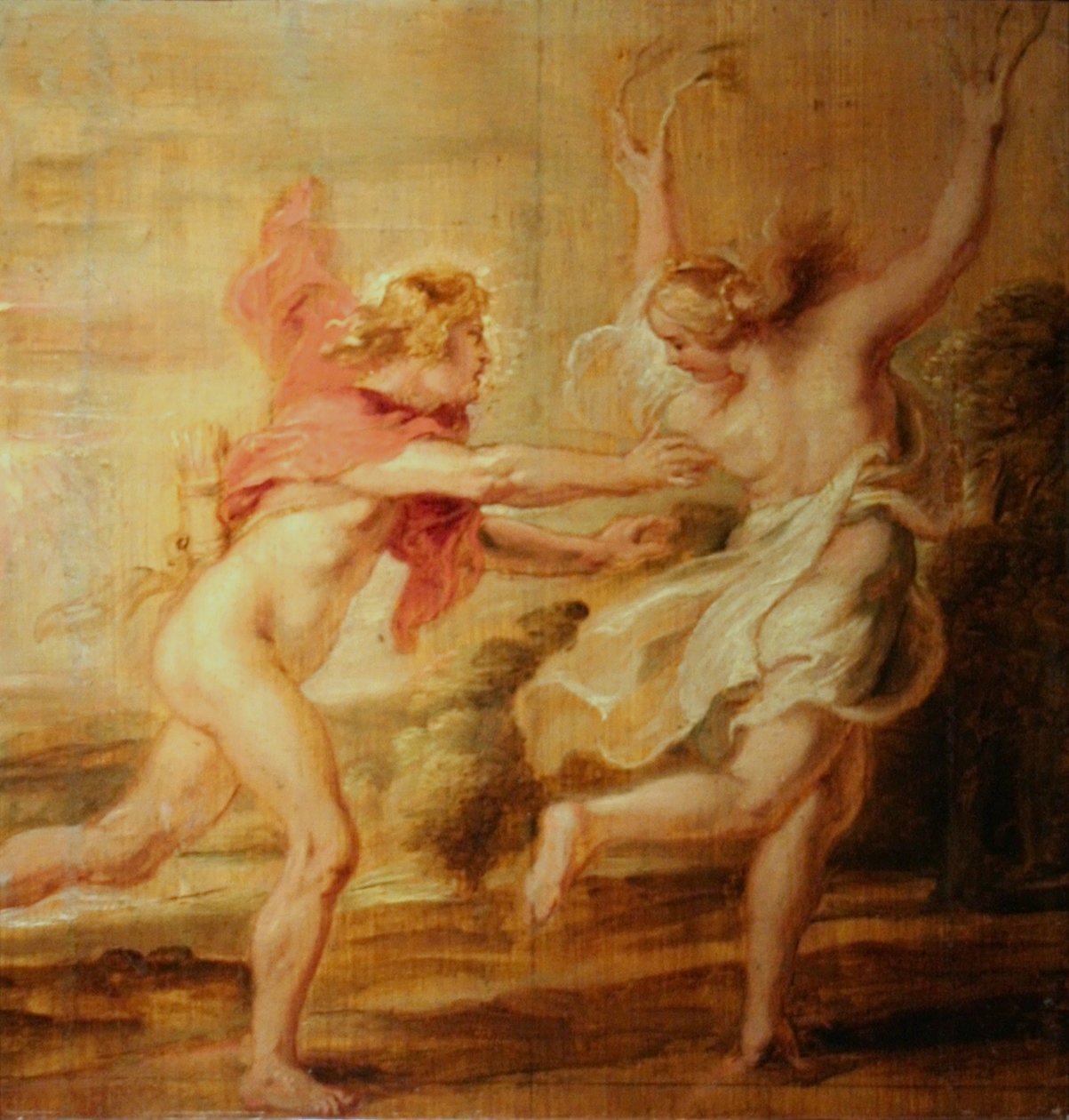 Apolló és Daphne alkotó: Peter Paul Rubens