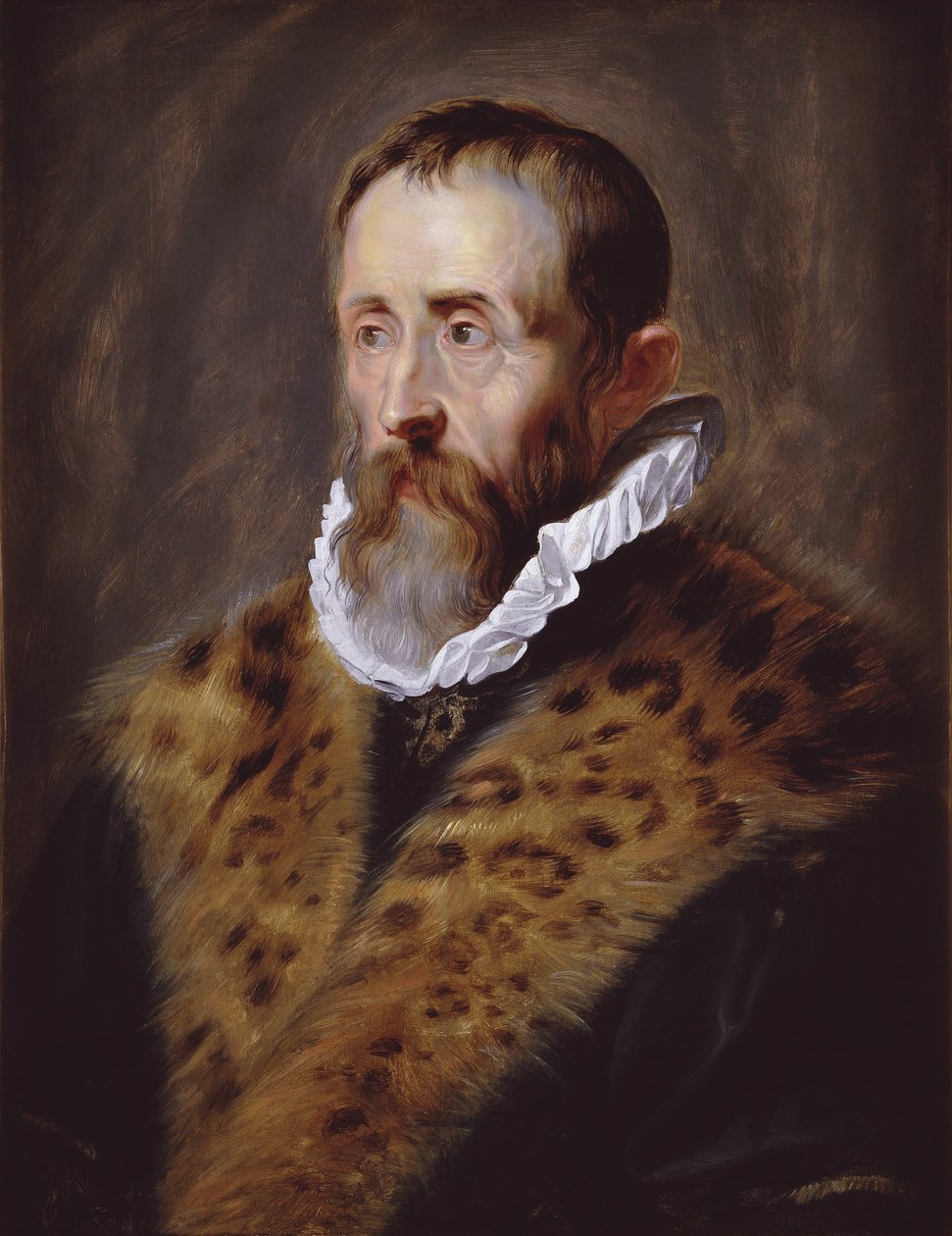 Justus Lipsius arcképe alkotó: Peter Paul Rubens