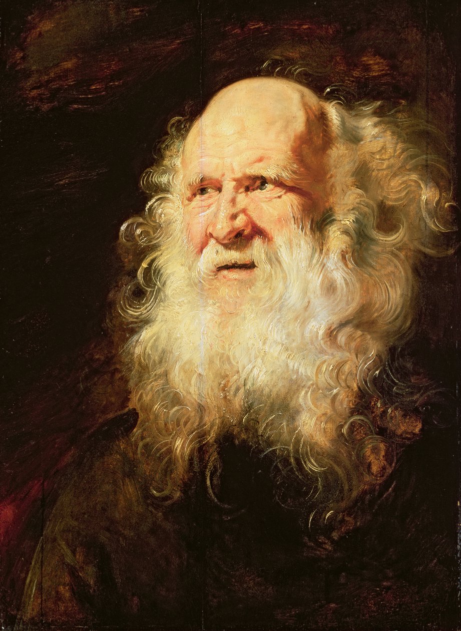 Tanulmány egy öregember fejeiről, 1612 körül alkotó: Peter Paul Rubens