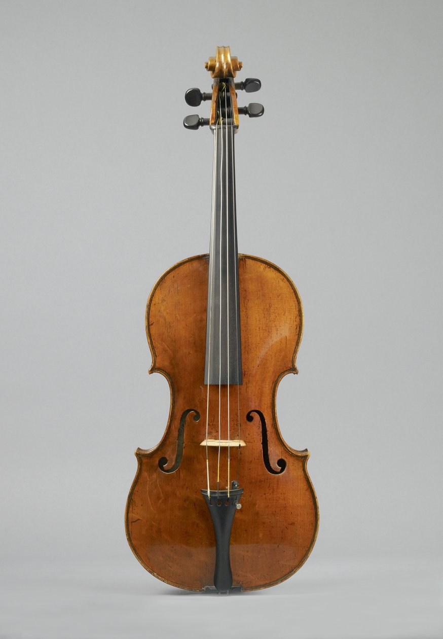 Viola, 1740 (fa) alkotó: Peter Wamsley