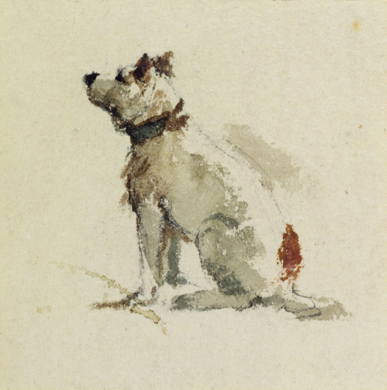 Egy terrier, bal oldalt ülve alkotó: Peter de Wint