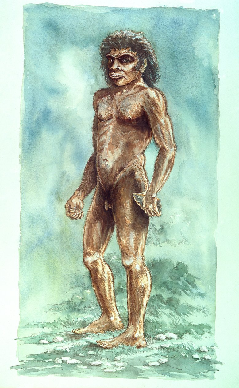Boxgrove ember, őskori, 1990-2010 alkotó: Peter Dunn