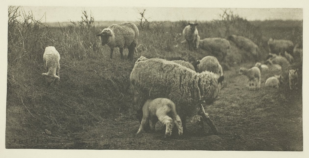 Lelkipásztori menet (Suffolk) alkotó: Peter Henry Emerson