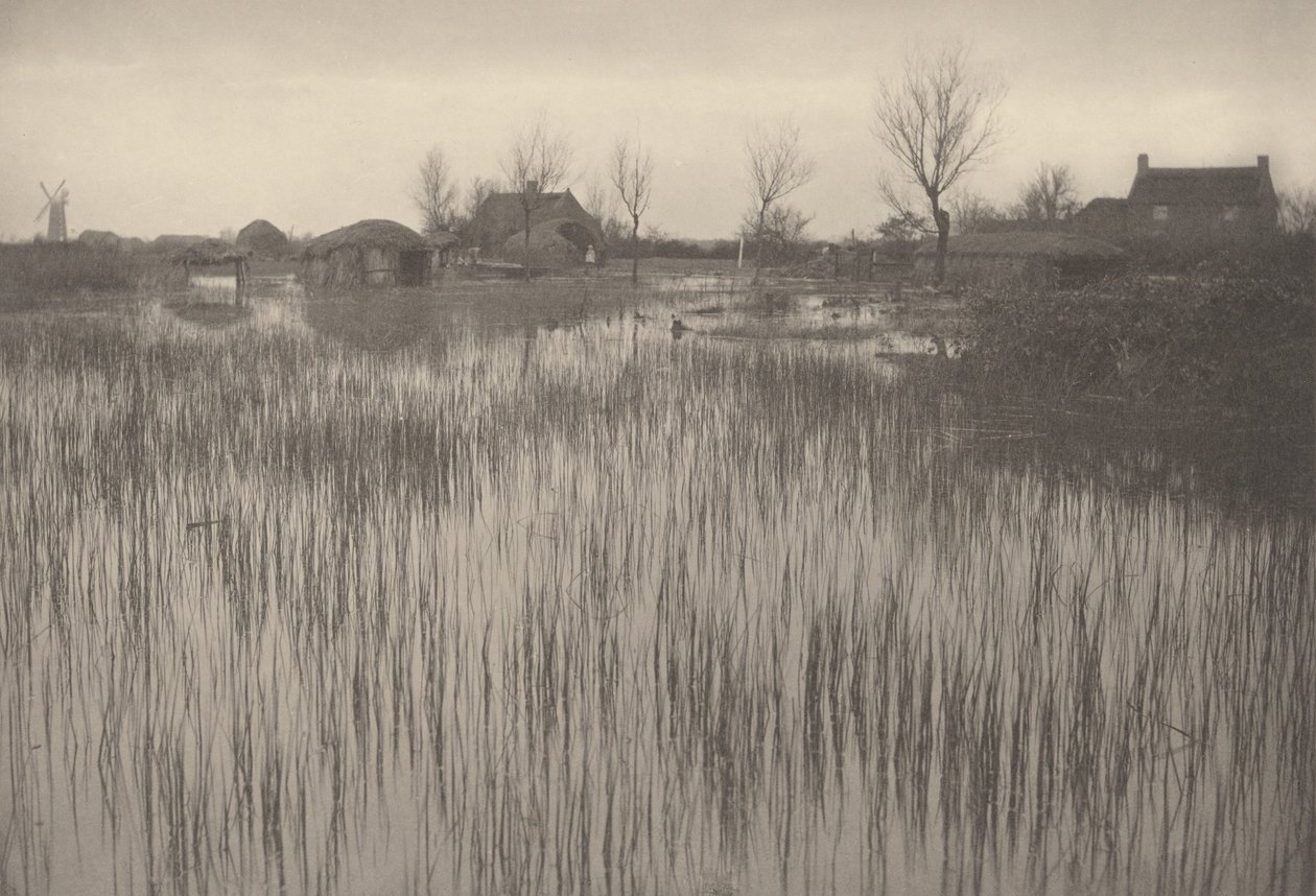 A Rushy Shore,1886 (fotó) alkotó: Peter Henry Emerson