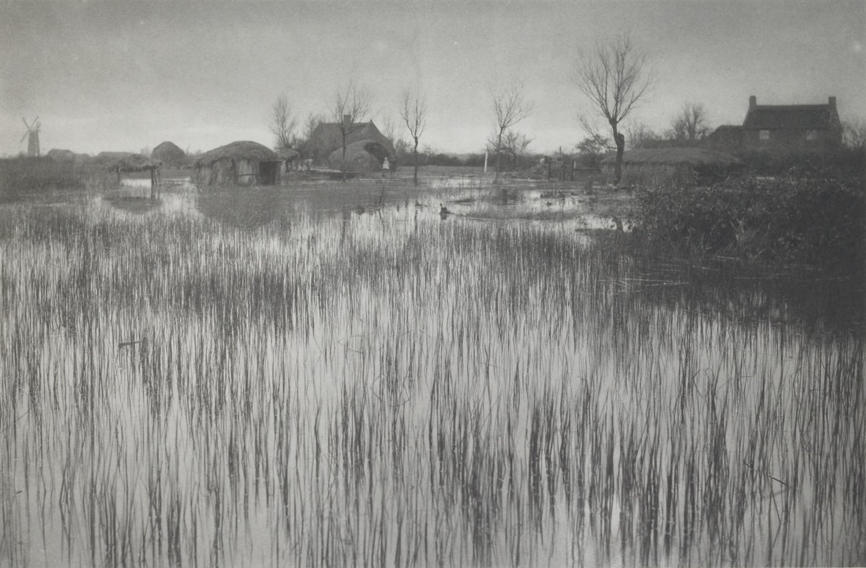 A Rushy Shore alkotó: Peter Henry Emerson