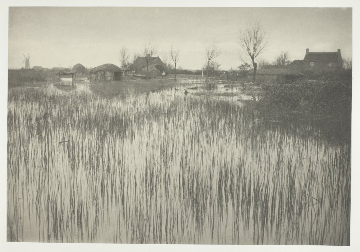 A Rushy Shore alkotó: Peter Henry Emerson