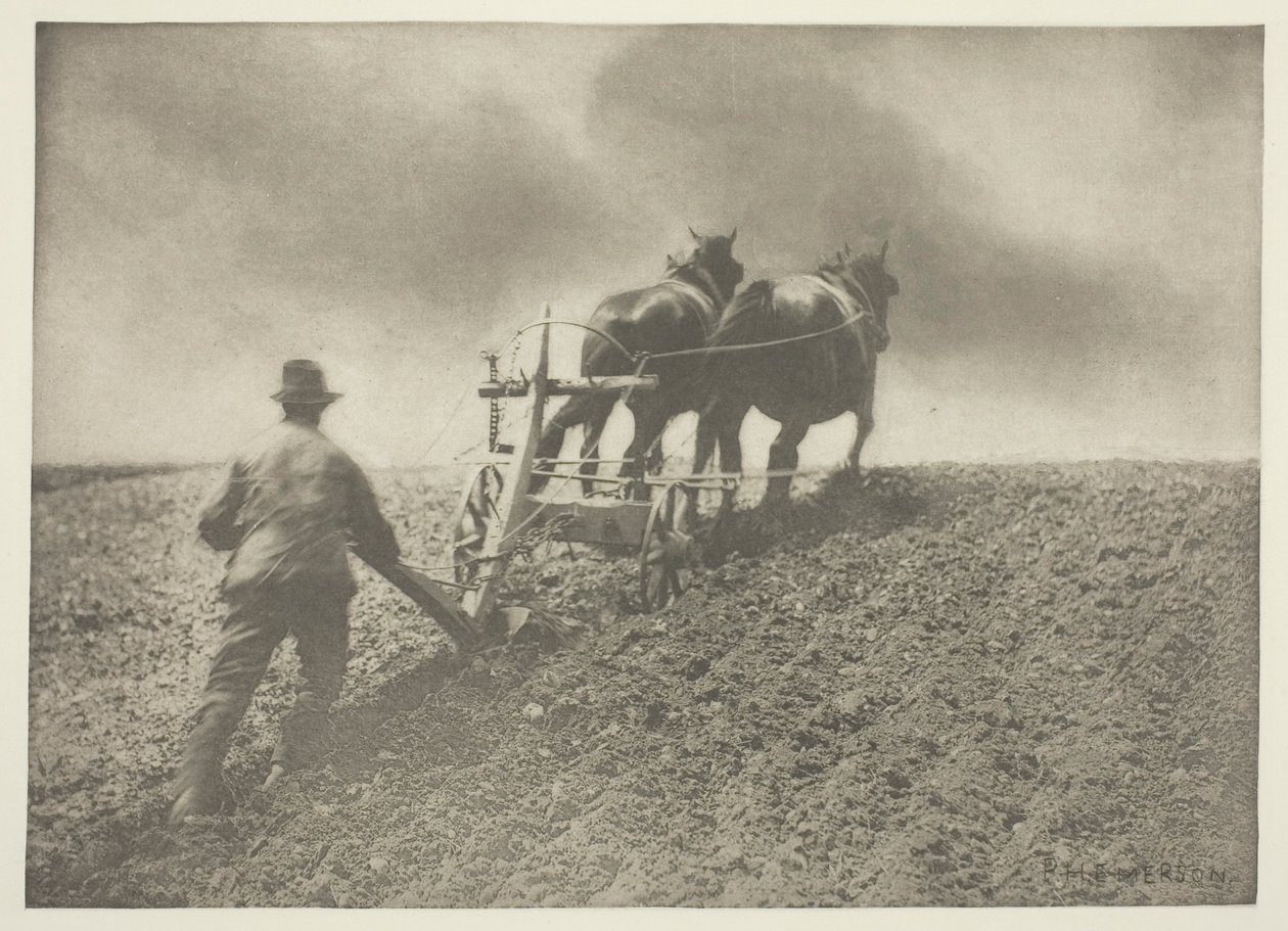Merev húzás, (Suffolk) alkotó: Peter Henry Emerson