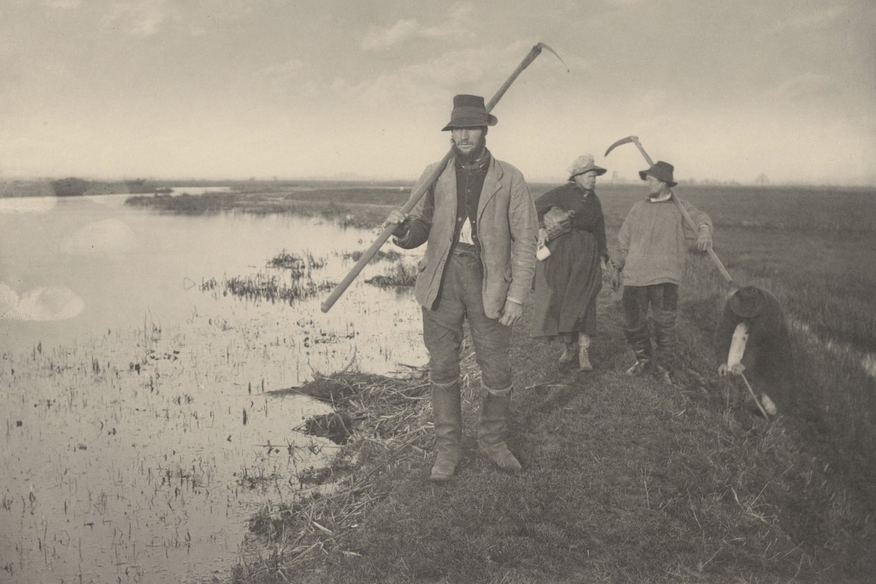 Hazatérés a mocsárból,1886 (fotó) alkotó: Peter Henry Emerson