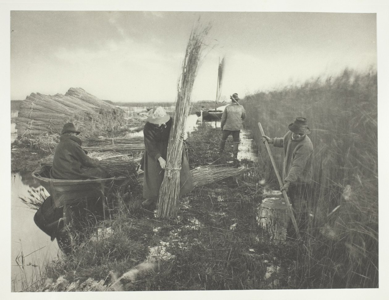 A nádszüret idején alkotó: Peter Henry Emerson
