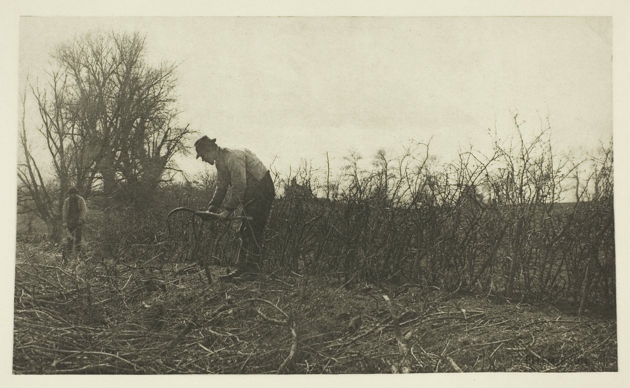 Vívás Suffolkban alkotó: Peter Henry Emerson