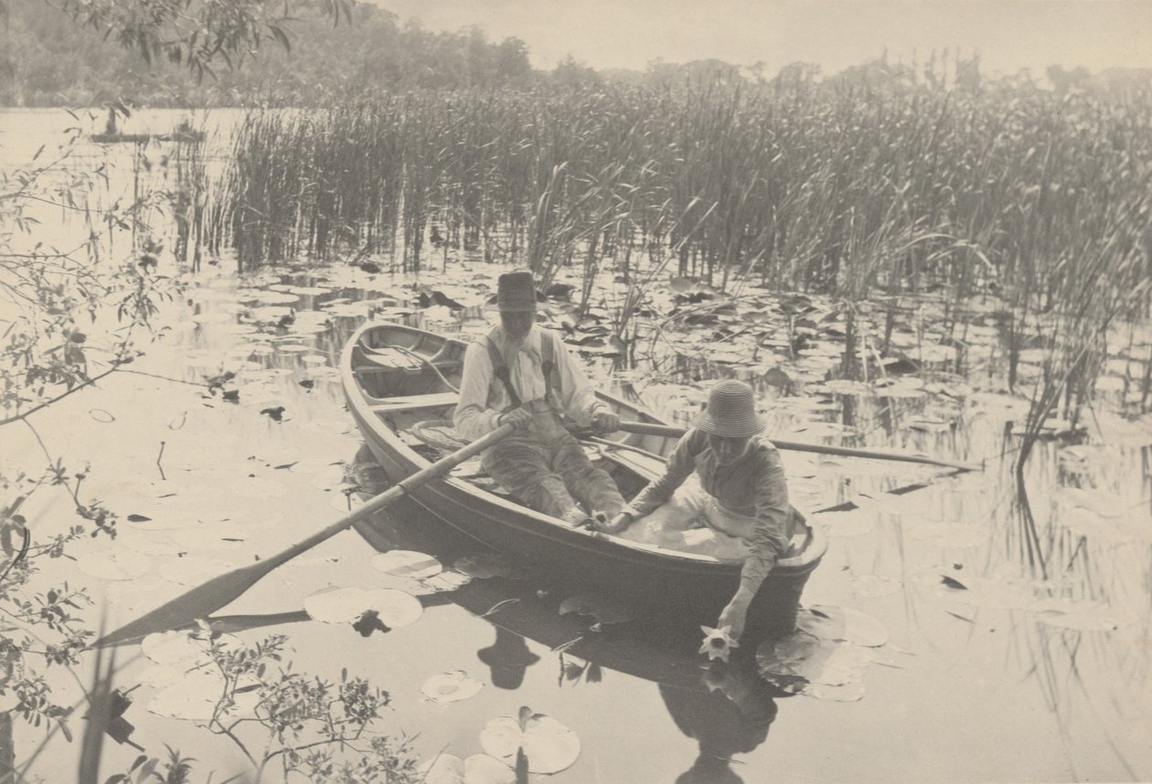 Tavirózsa gyűjtése alkotó: Peter Henry Emerson