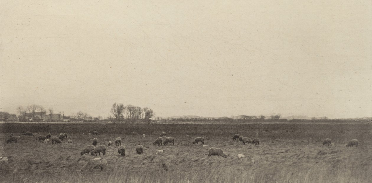 Mocsarak az Északi-tenger mellett alkotó: Peter Henry Emerson