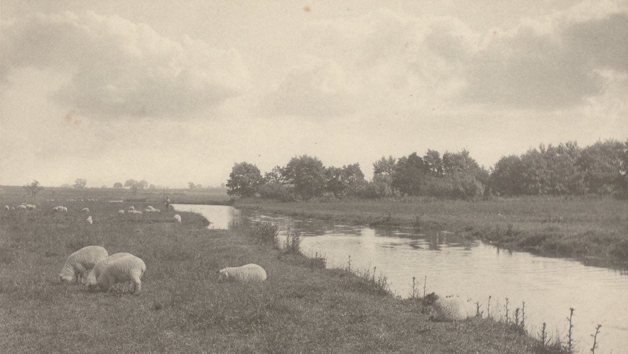 A Bure folyón,1886 (fénykép) alkotó: Peter Henry Emerson