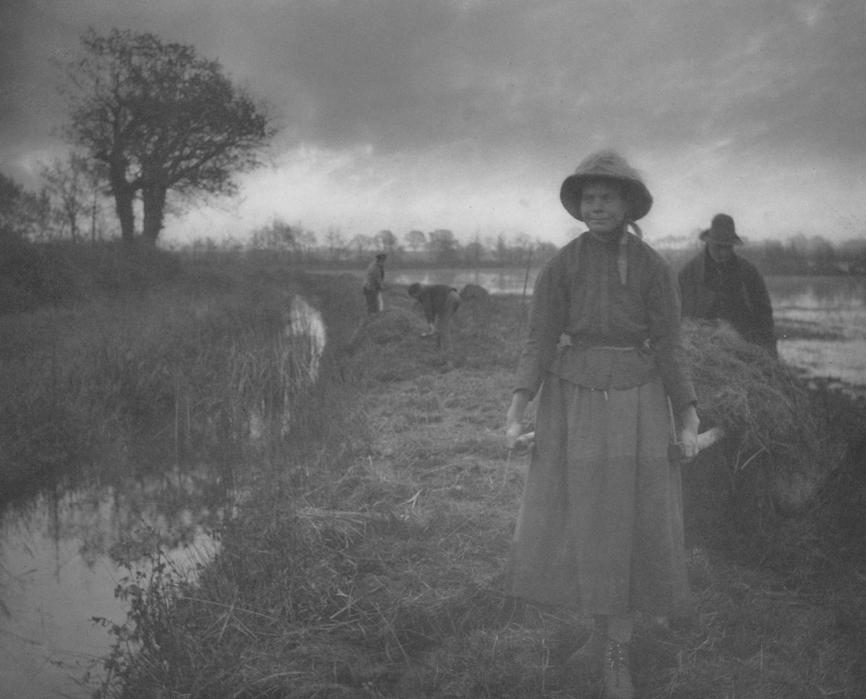 Polling the Marsh