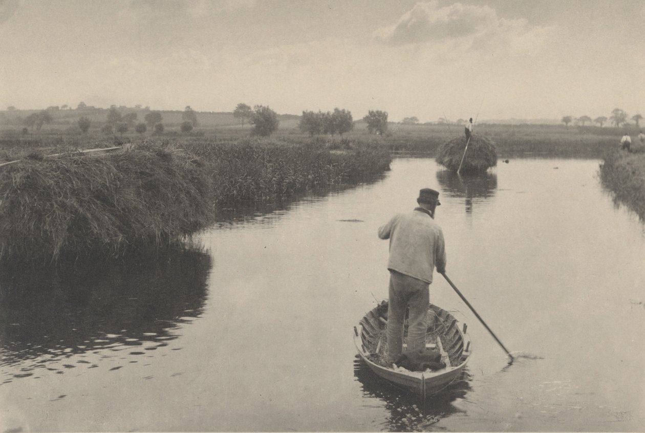 A mocsári széna mennyiségének meghatározása,1886 (fénykép) alkotó: Peter Henry Emerson