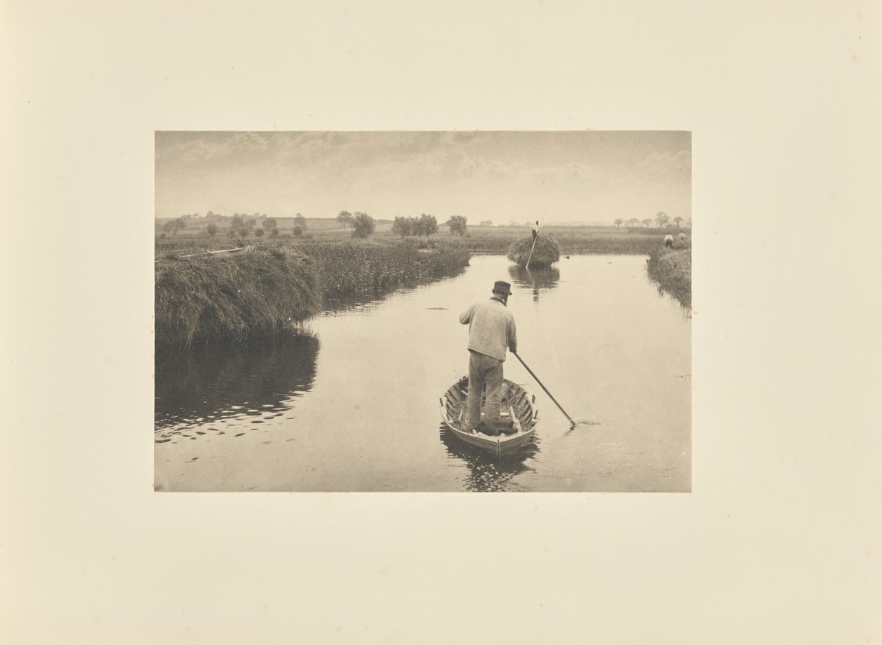 A mocsári széna mennyiségi meghatározása alkotó: Peter Henry Emerson