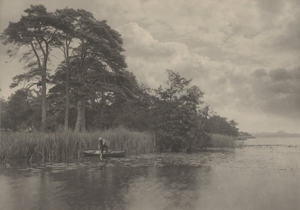 A csuka kísértete,1887 (fotó) alkotó: Peter Henry Emerson