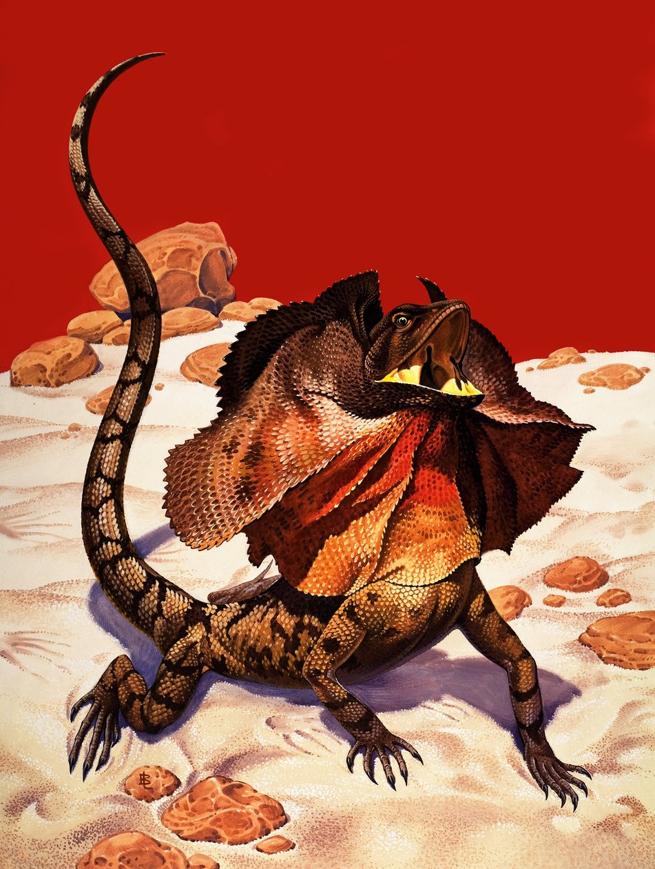 Fodros gyík (gouache, papír) alkotó: Peter Jackson