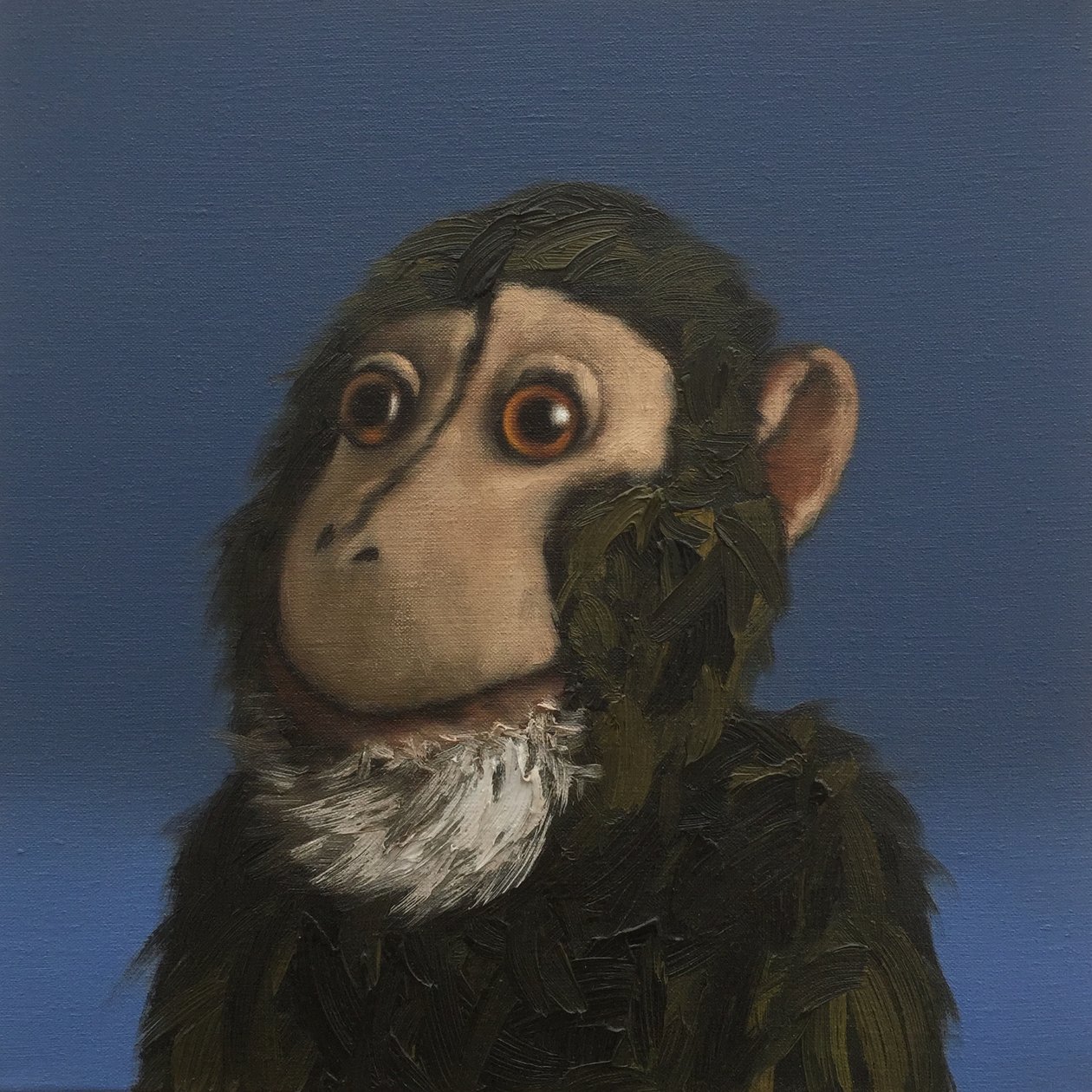 Andy Monkey, 2017 alkotó: Peter Jones