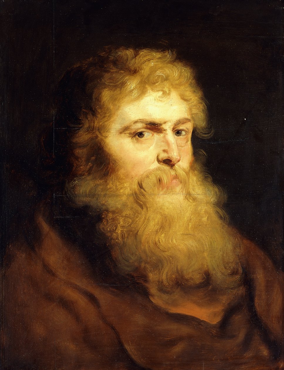 Egy szakállas férfi feje, alkotó: Peter Paul Rubens