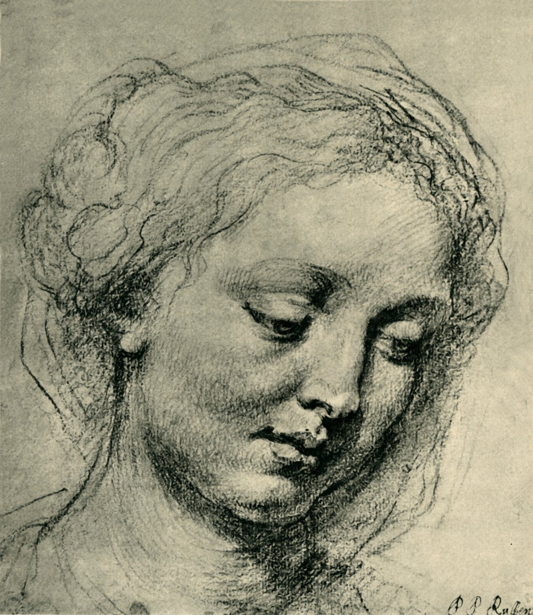 Egy nő feje, c1630, 1943. alkotó: Peter Paul Rubens