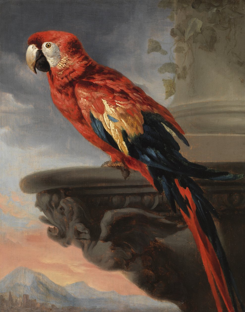Papagáj, 1630-40 körül alkotó: Peter Paul Rubens