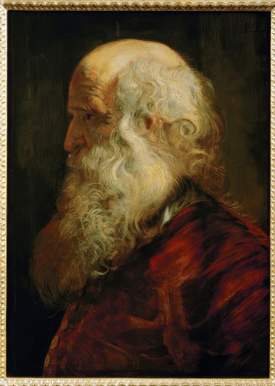 Egy öregember tanulmányi feje alkotó: Peter Paul Rubens