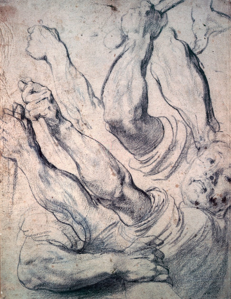 Ismeretlen kép alkotó: Peter Paul Rubens