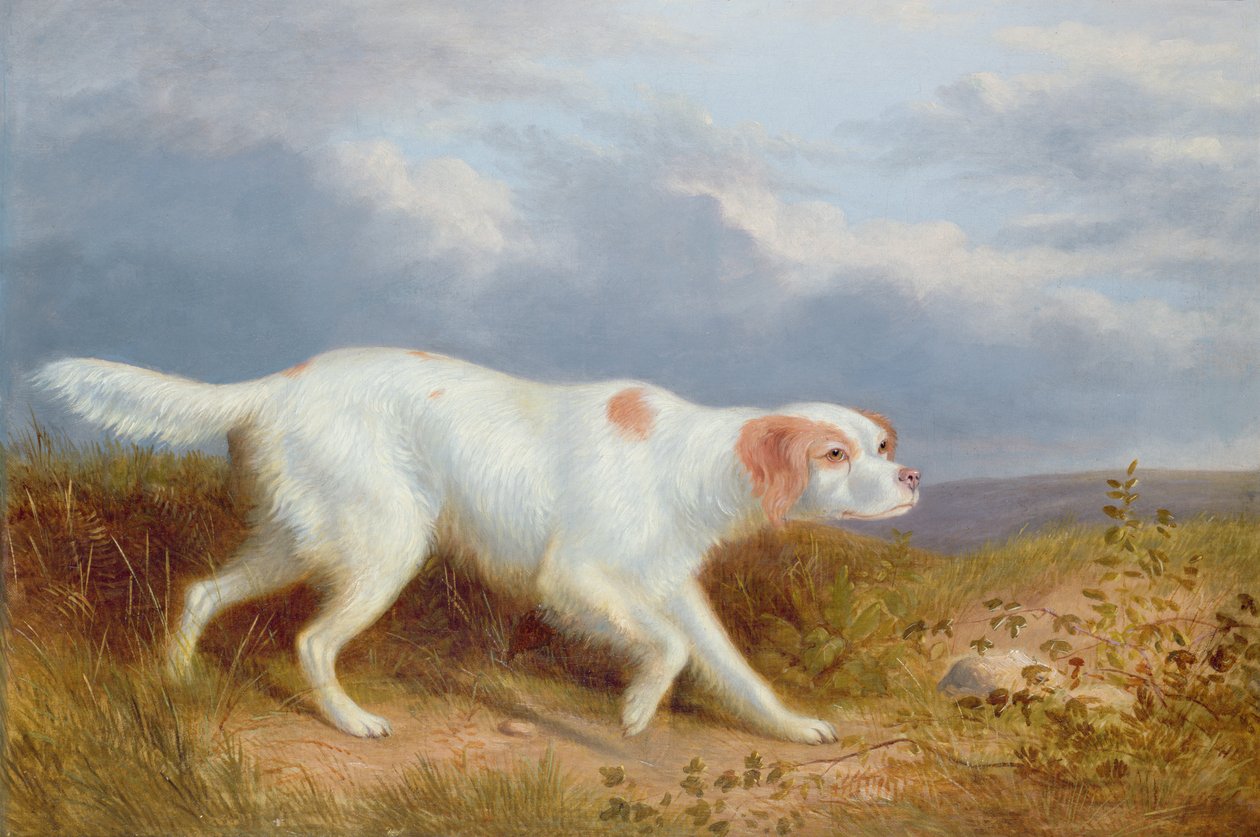 A Setter a mocsárban alkotó: Philip Reinagle