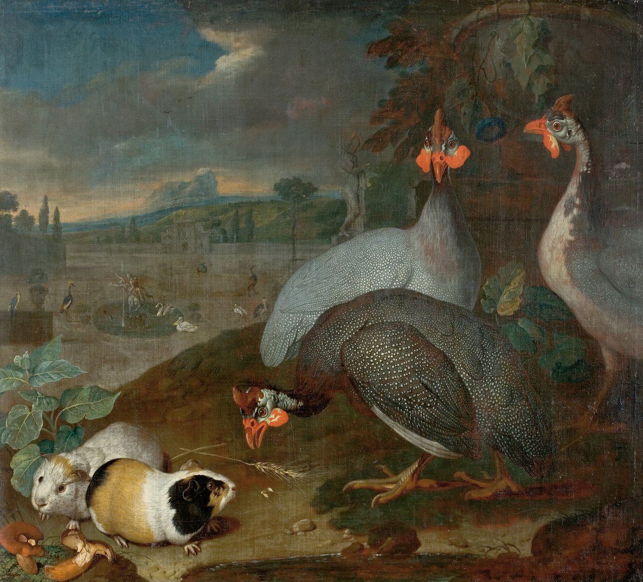 Gyöngytyúk tengerimalacokkal alkotó: Philipp Ferdinand de Hamilton