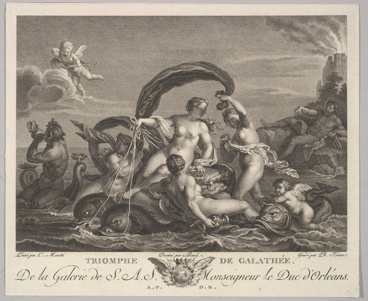Galatea diadala. alkotó: Philippe Triere