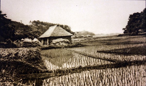 Rizsföldek Japánban alkotó: Photographer Japanese