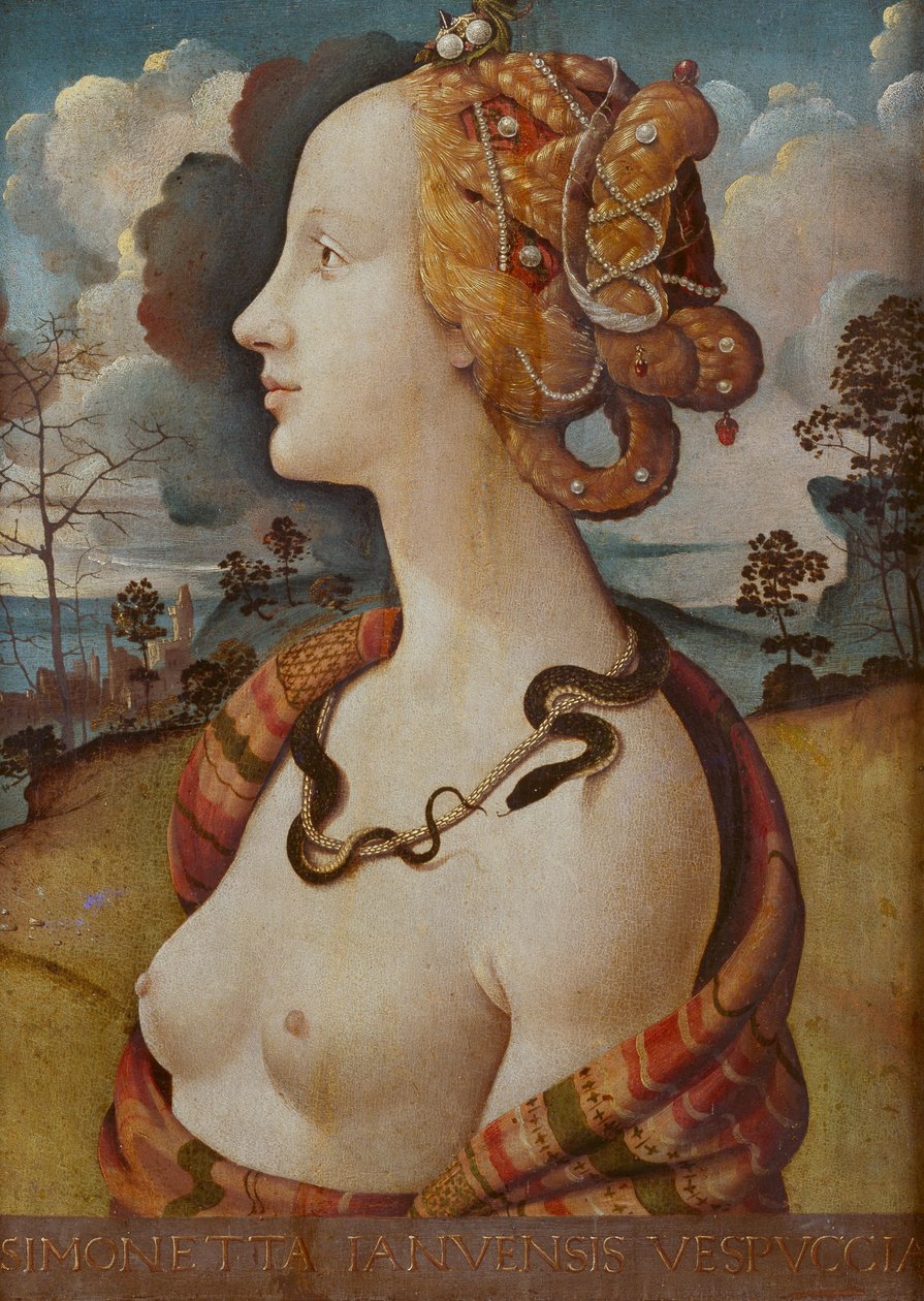 Egy nő portréja Simonetta Vespucci -ról szólt alkotó: Piero di Cosimo