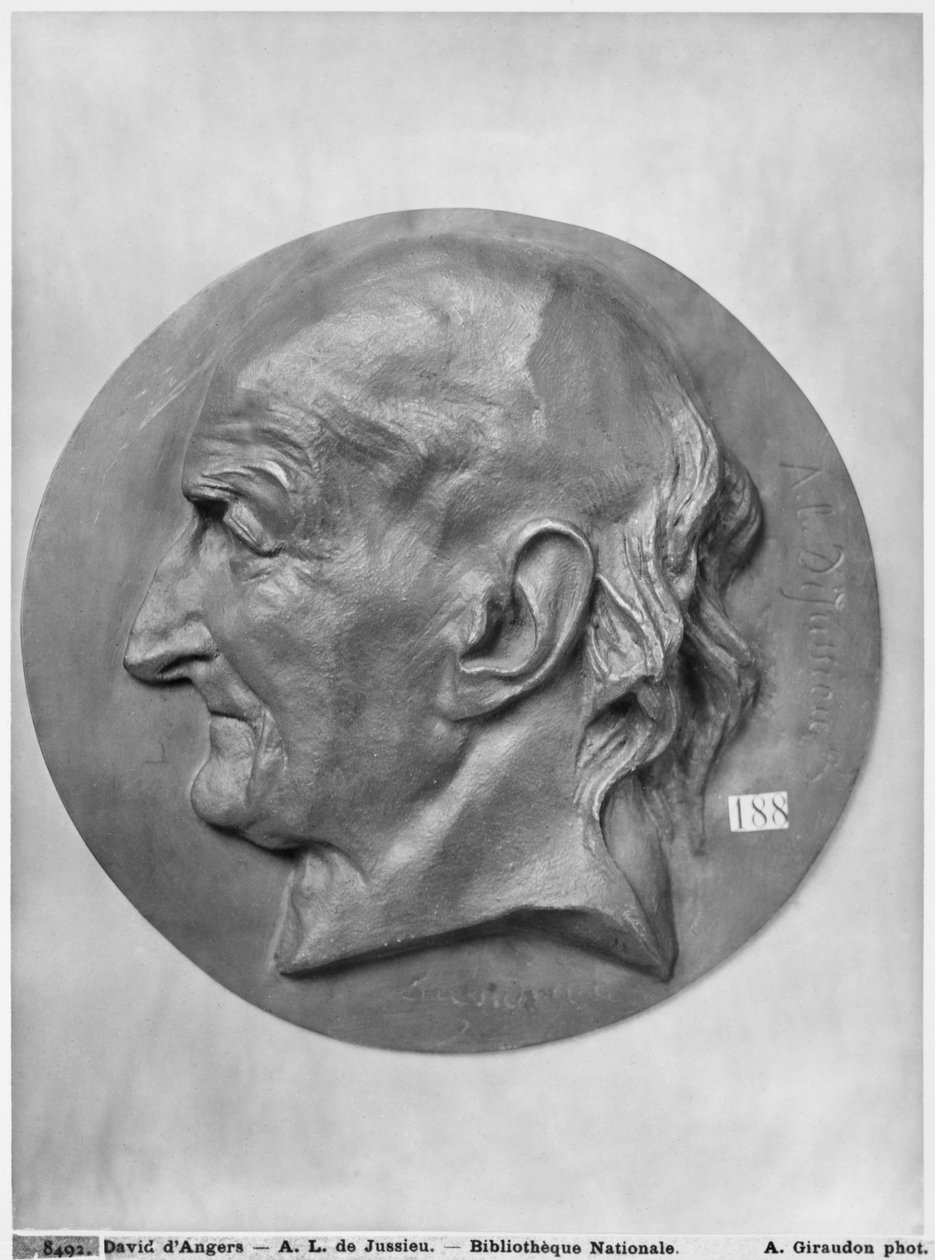 Antoine Laurent de Jussieu (bronz) alkotó: Pierre Jean David d