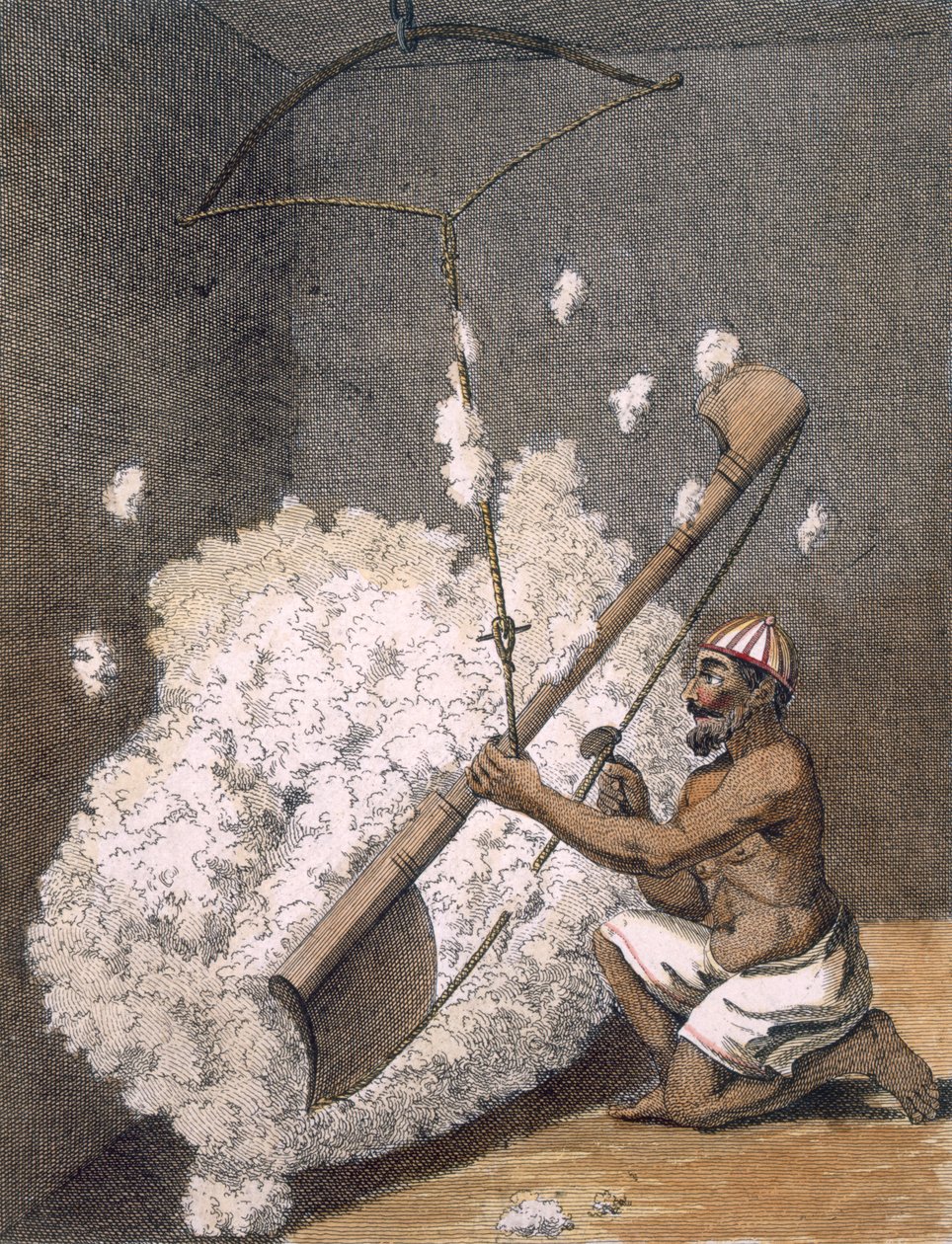 Kártolható pamut a „Utazások Indiába és Kínába” című sorozatból, 1782 alkotó: Pierre Sonnerat